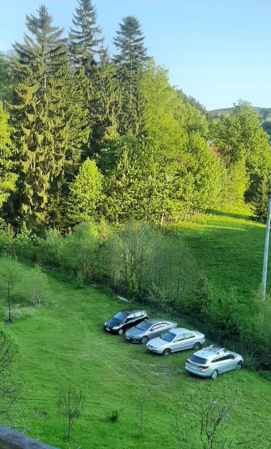 Pod Modrzewiem Mieszkania Wakacyjne Duszniki Zdroj Exterior photo