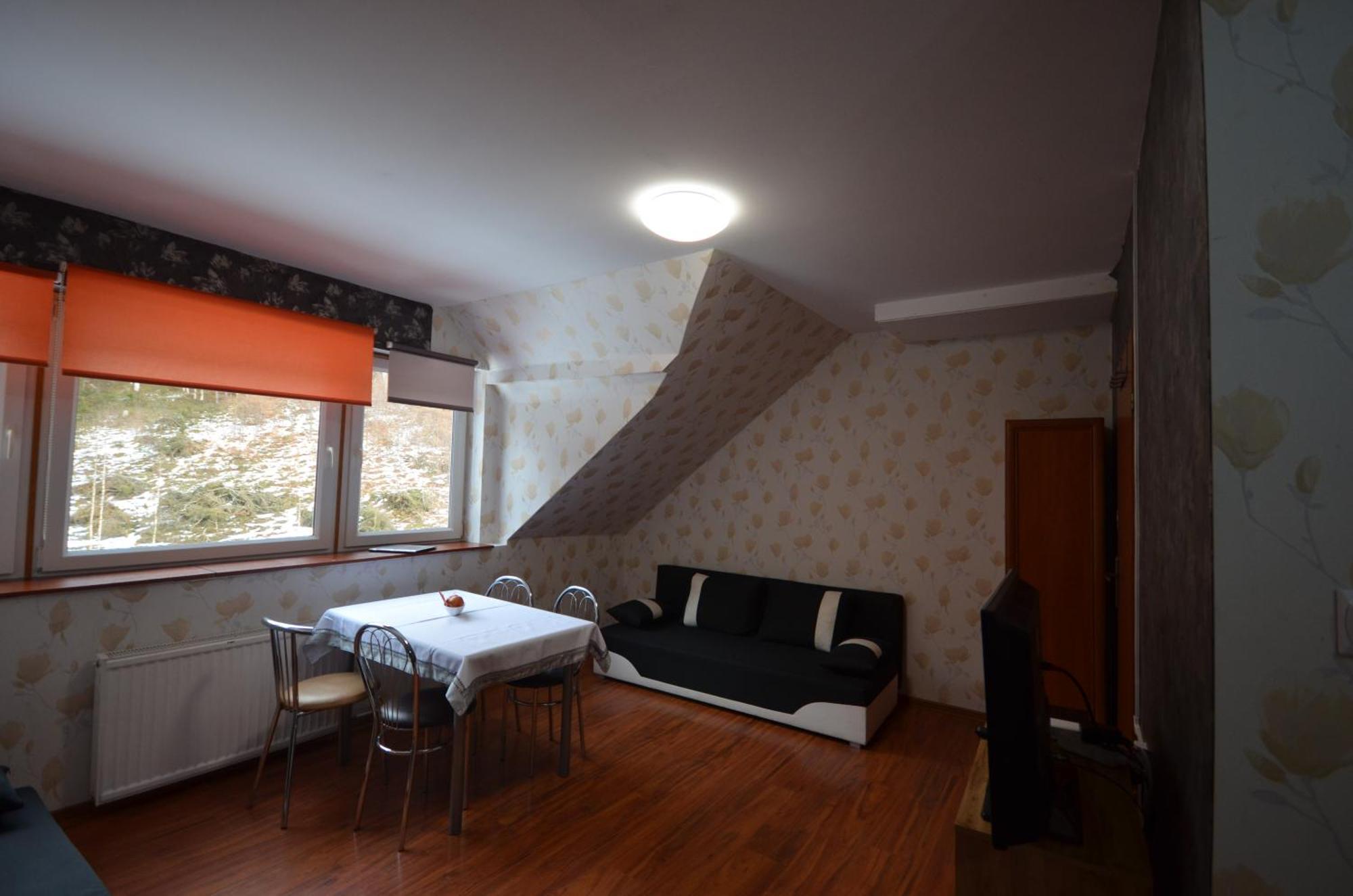 Pod Modrzewiem Mieszkania Wakacyjne Duszniki Zdroj Exterior photo